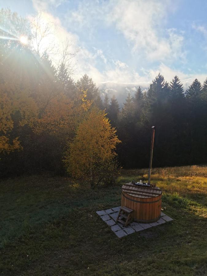Das Koralpenchalet...Sonne, Wald, Natur! Trahutten Екстер'єр фото
