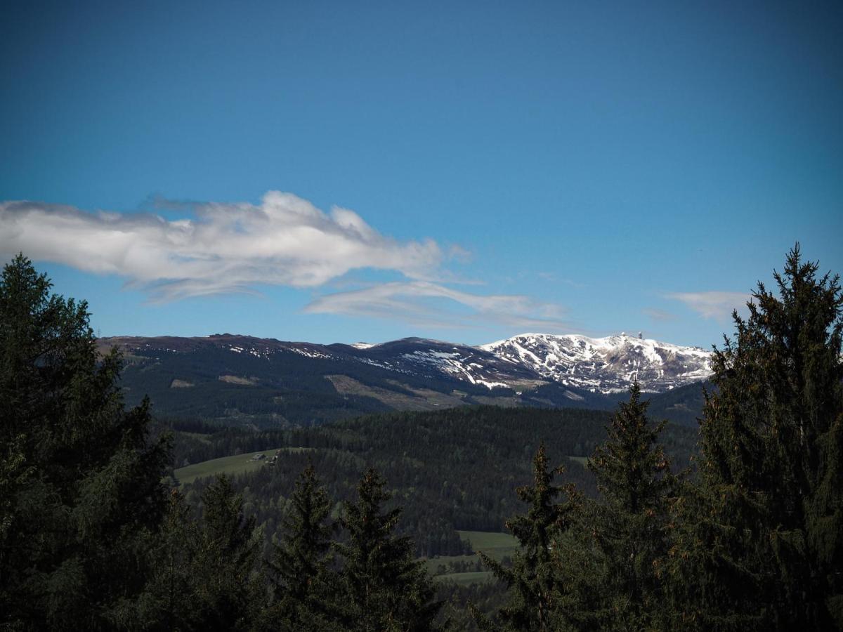 Das Koralpenchalet...Sonne, Wald, Natur! Trahutten Екстер'єр фото