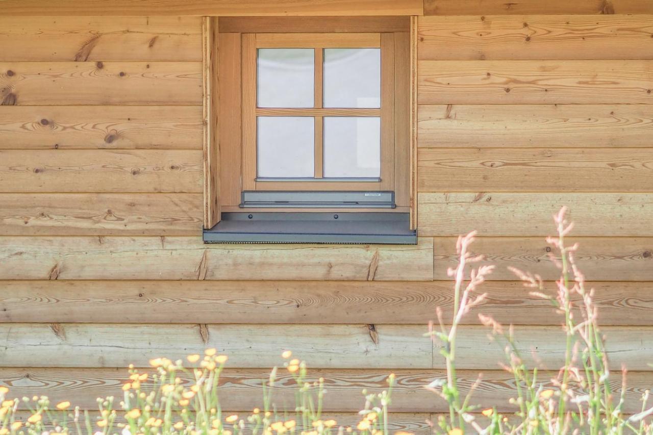 Das Koralpenchalet...Sonne, Wald, Natur! Trahutten Екстер'єр фото